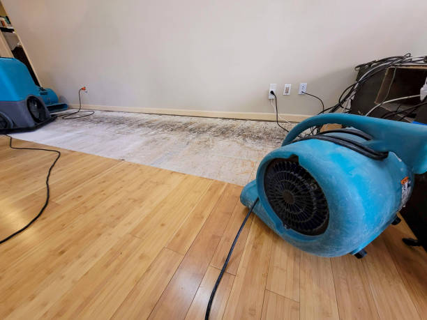Professional Structural Drying technician working in Rockford, TN